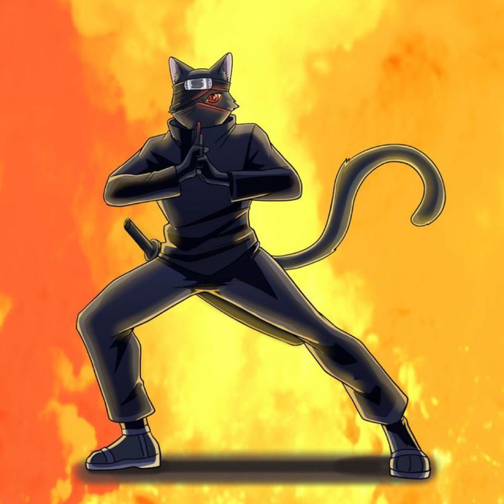 BubbaGump41518's tweet image. Building more than a meme, we are building a movement.
Here to change lives through conviction, community, and consistency.
Ninja Cat isn’t just a token it’s become a mission.
Let’s rise together and keep the fire lit!!!
7wH5YKNnhcjyqUUXZwsdQWK26JVj9ejfNwDFfR1VCyod