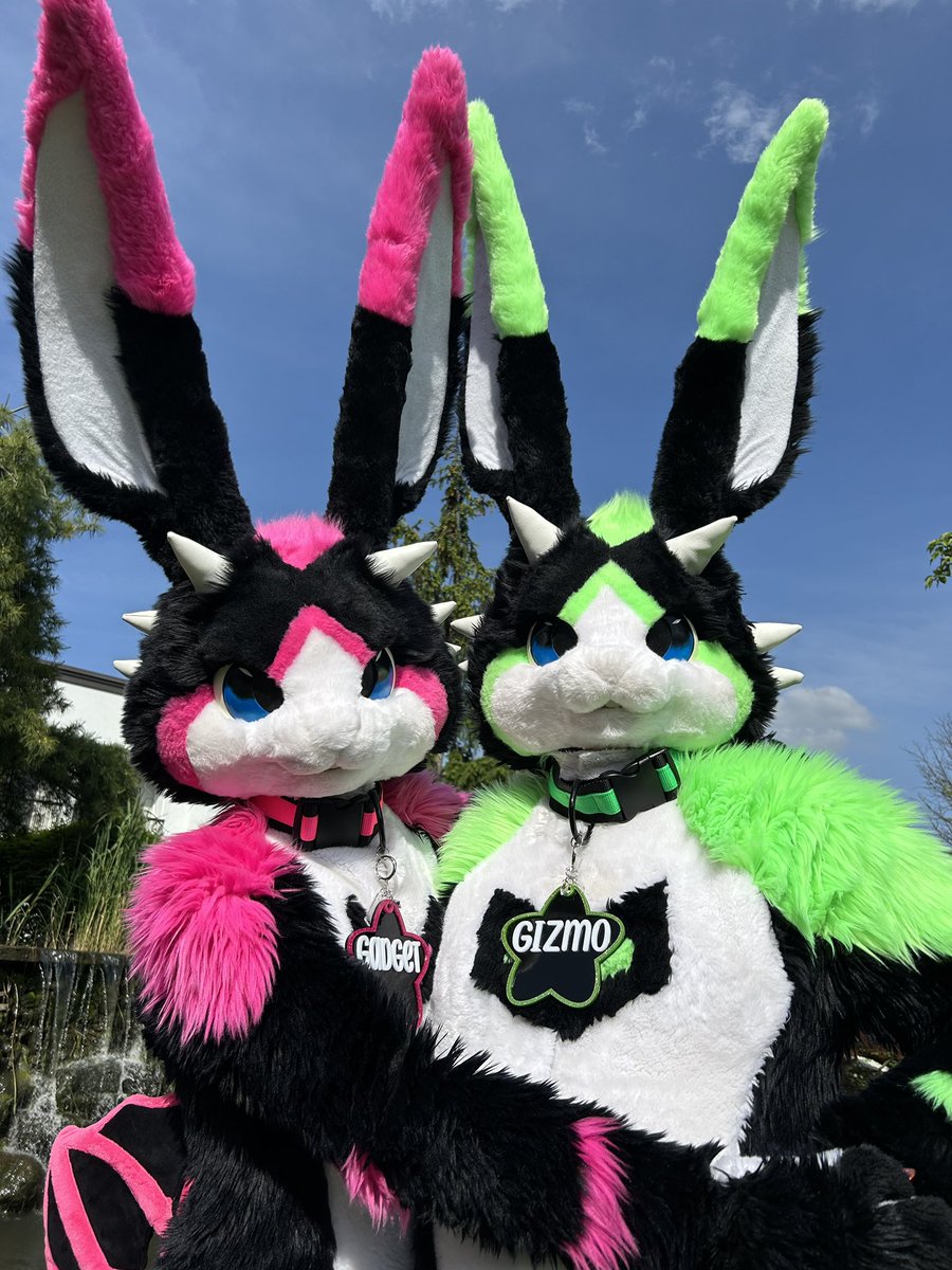 Cup Critters & Co. tweet media