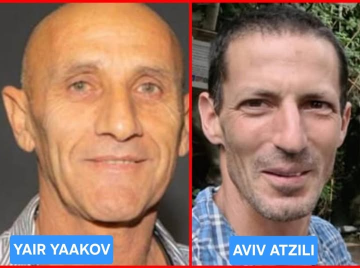 Ari Kalker tweet media