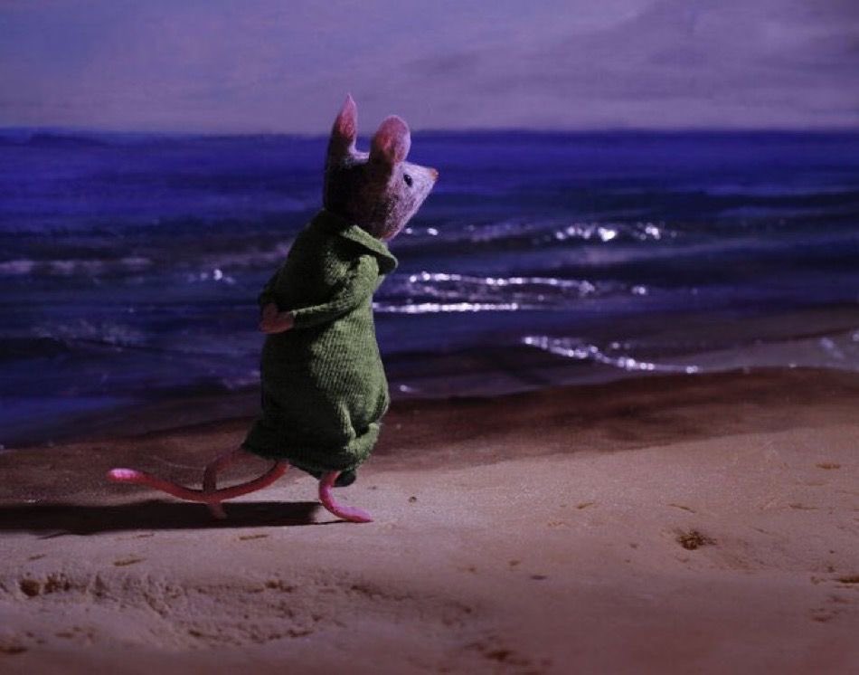 this is how summer will be