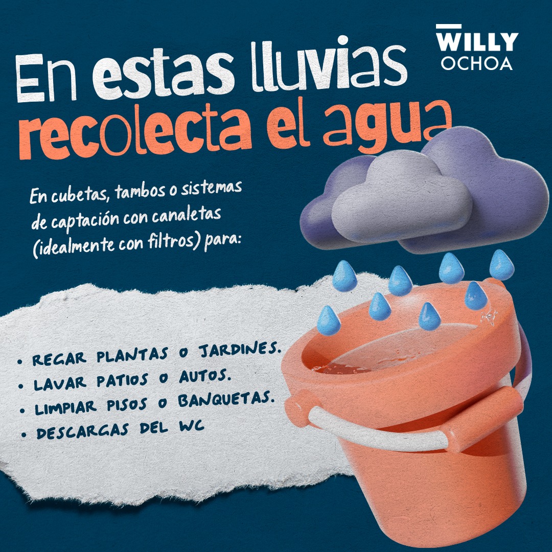 Amigas y amigos, la lluvia no solo refresca, también nos da la oportunidad de aprovechar el agua que cae del cielo.
Si pueden recolectarla, háganlo.
Reutilizarla es una forma sencilla y valiosa de cuidar lo que tenemos.