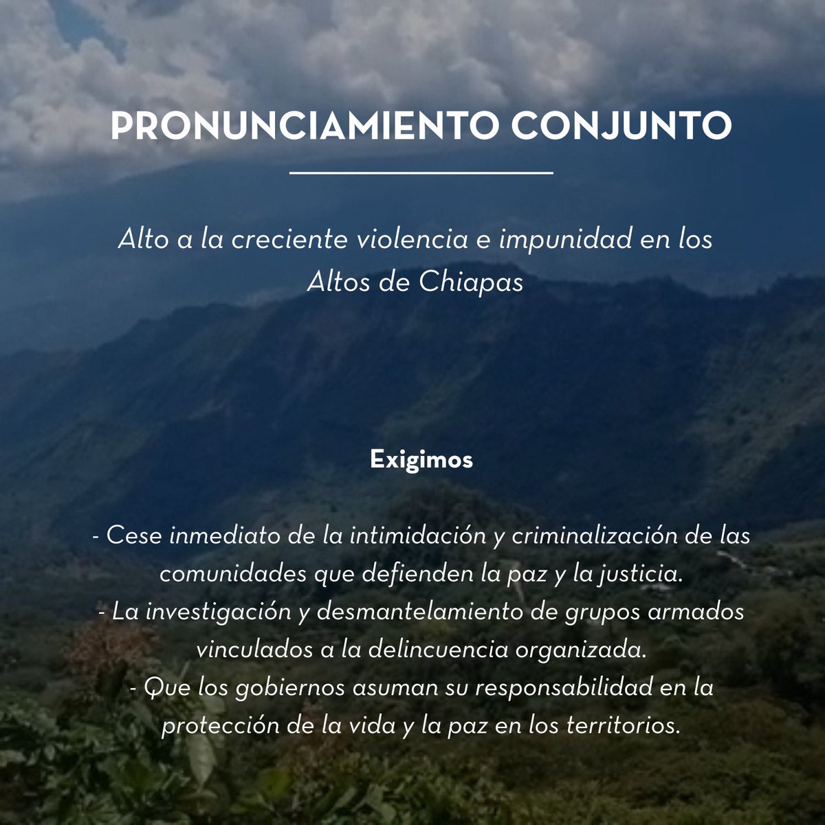 ‼️ 𝐏𝐫𝐨𝐧𝐮𝐧𝐜𝐢𝐚𝐦𝐢𝐞𝐧𝐭𝐨 𝐜𝐨𝐧𝐣𝐮𝐧𝐭𝐨 𝐄𝐧 𝐫𝐢𝐞𝐬𝐠𝐨 𝐞𝐥 𝐩𝐮𝐞𝐛𝐥𝐨 𝐭𝐬𝐨𝐭𝐬𝐢𝐥, 𝐢𝐧𝐭𝐞𝐠𝐫𝐚𝐧𝐭𝐞𝐬 𝐝𝐞 𝐋𝐚𝐬 𝐀𝐛𝐞𝐣𝐚𝐬 𝐝𝐞 𝐀𝐜𝐭𝐞𝐚𝐥 𝐲 𝐥𝐚 𝐜𝐨𝐦𝐮𝐧𝐢𝐝𝐚𝐝 𝐝𝐞 𝐓𝐳𝐚𝐣𝐚𝐥𝐜𝐡’𝐞𝐧, 𝐂𝐡𝐞𝐧𝐚𝐥𝐡𝐨́ 🔗 ➡️ frayba.org.mx/pronunciamient…