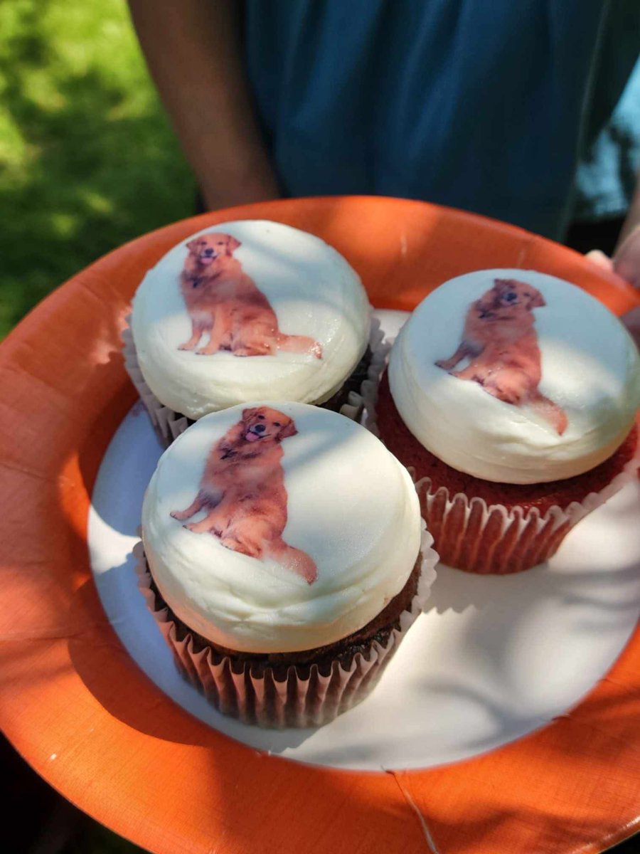 🐾 Bark in the Park is coming to @waltonwoodseniorliving Cary!

Join kids, seniors &amp; therapy dogs for a free day of fun on Sat, June 21 (11AM–1PM) 🎨🚒🐶

Face painting, fire trucks, “Build Your Own Dog” bar &amp; more!

📍 Waltonwood Cary Parkway
📞 RSVP: (919) 460-7330