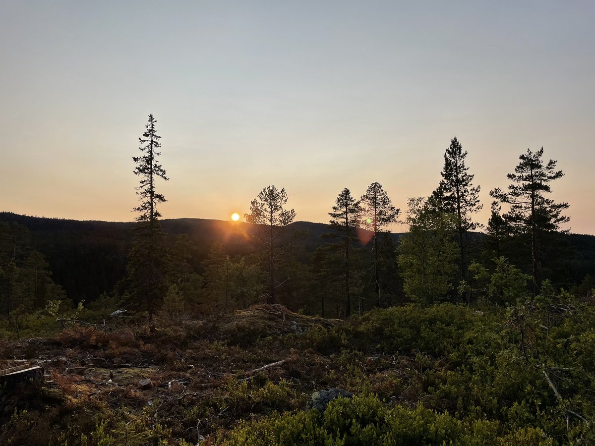 Sunset 21.30🥰Enjoy🦊🦋🦉🐝