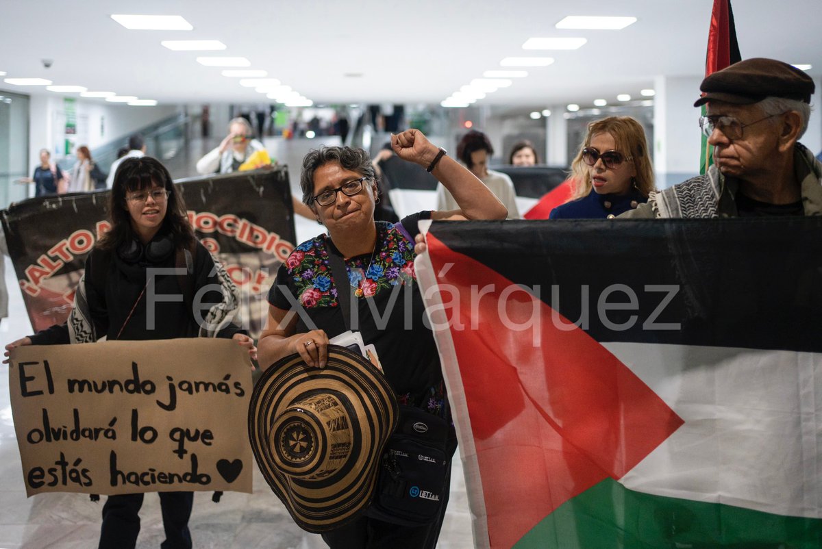 felyxmarquez's tweet image. Veracruzana, Alma Alvarado, encabeza comitiva mexicana que viaja a la frontera de #Gaza para romper bloqueo de ayuda humanitaria.
Al menos 15 mexicanos se unirán a más de 3 mil personas de todo el mundo que mañana caminarán desde El Cairo hasta Rafah.
Volaron hoy desde CDMX.
