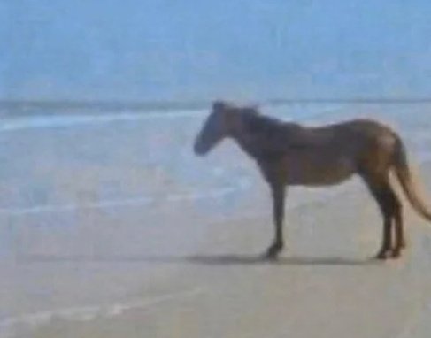 lute (@surri01) on Twitter photo 