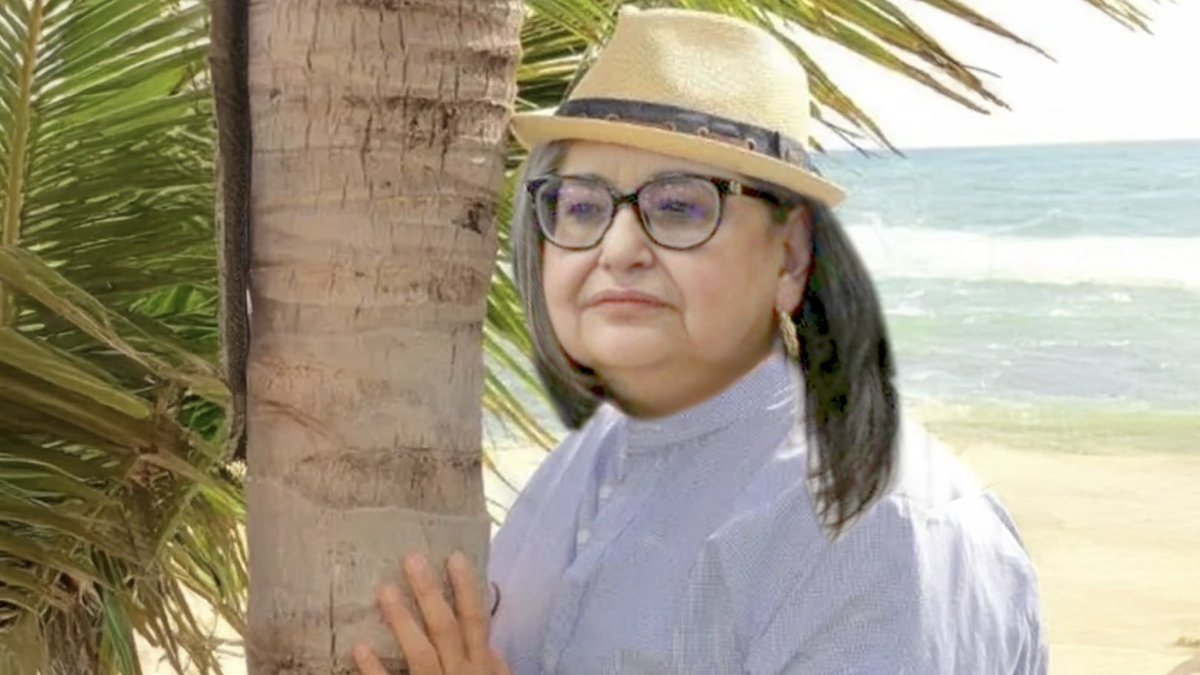 Normis Piña se reunió a escondidas con los partidos de oposición, amenazó por whatsapp a morenistas, aceptó ilegales impugnaciones del PAN, ordenó espontáneas investigaciones contra Arturo Zaldivar, convocó al Poder Judicial a no trabajar, se reunió con Claudio X González, marchó