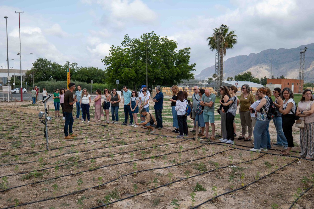 Satdi_UMH's tweet photo. Aún tenemos resaca emocional, sensorial y física de la II Convivencia #SATDI celebrada el pasado lunes en #Orihuela Aquí os dejamos un resumen de lo bien que lo pasamos. Próximamente os compartiremos más fotos/vídeos de la jornada. ¡Disfrutadlo! 🌾🍷👩‍🔬🧈

https://t.co/AOhbELVxdJ https://t.co/GwFOaidmxA