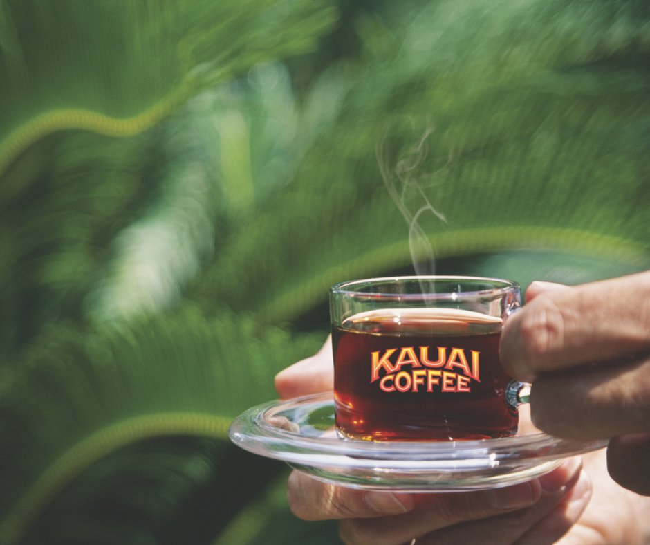 Cool and cloudy mornings call for cozy cups. What’s your ideal coffee ritual? Let us know in the comments!