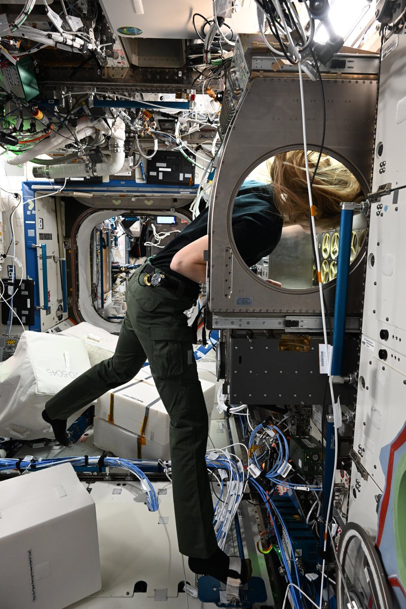 Astro_Ayers's tweet image. I got to install some hardware into our Microgravity Science Glovebox (MSG) this week! This is the Ring-Sheared Drop-IBP-2 experiment that studies the behavior of protein fluids in microgravity and tests computer models to predict that fluid’s behavior.
In microgravity, we can…