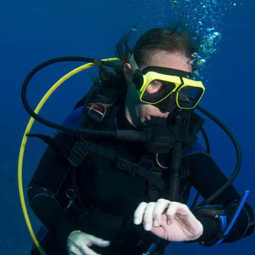 Take a look at our diving masks that are available with bifocal lenses 🐟🐠

prescription-swimming-goggles.co.uk/collections/av… 

Bifocal lenses correct distance vision as well as providing an add power for the near vision section. No more struggling to see your gauges! 

 #DivingMasks