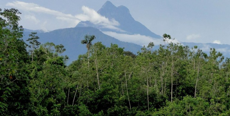 UNIDADES DE CONSERVAÇÃO | <a href="/mmeioambiente/">Ministério do Meio Ambiente e Mudança do Clima</a> e <a href="/canalicmbio/">ICMBio</a> lançam edital para apoiar criação e ampliação de UCs em estados e municípios na Amazônia.

Edital visa mapear propostas em diferentes estágios de desenvolvimento.

📷Divulgação ICMBio