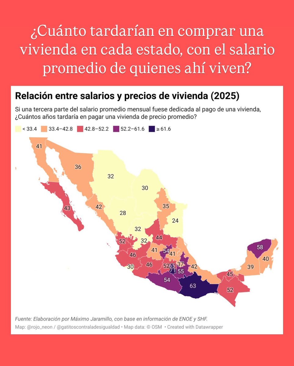 Gatitos contra la Desigualdad tweet media