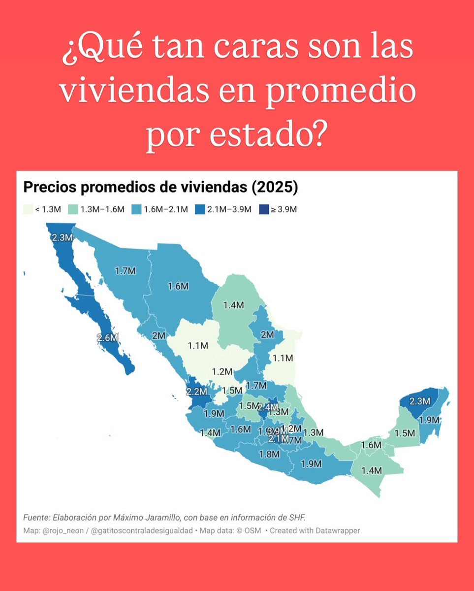 Gatitos contra la Desigualdad tweet media