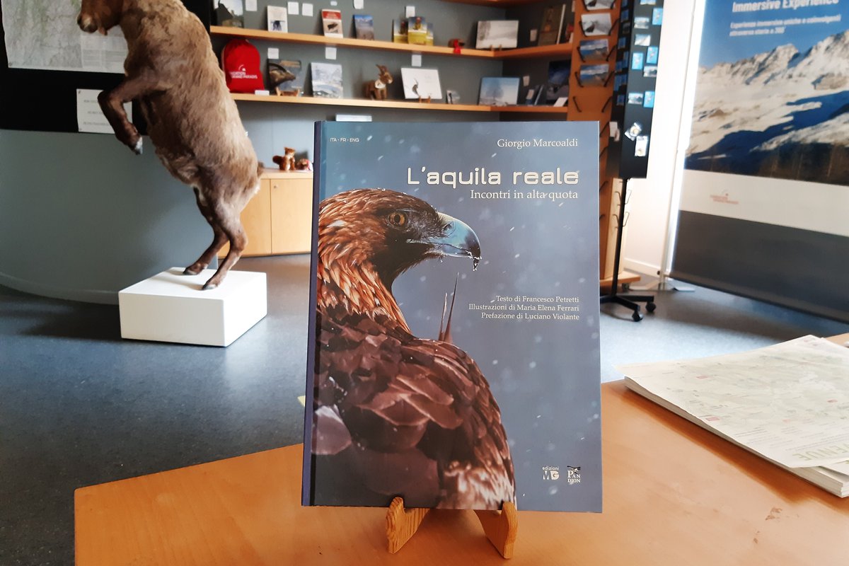 “Forse era inevitabile che mi sarei dovuto occupare anche della regina, la regina dei cieli, sua maestà l’Aquila reale.”

🦅 È con grande piacere che promuoviamo il nuovo libro del fotografo Giorgio Marcoaldi, “L’aquila reale. Incontri in alta quota”.

#natura #fotografia
