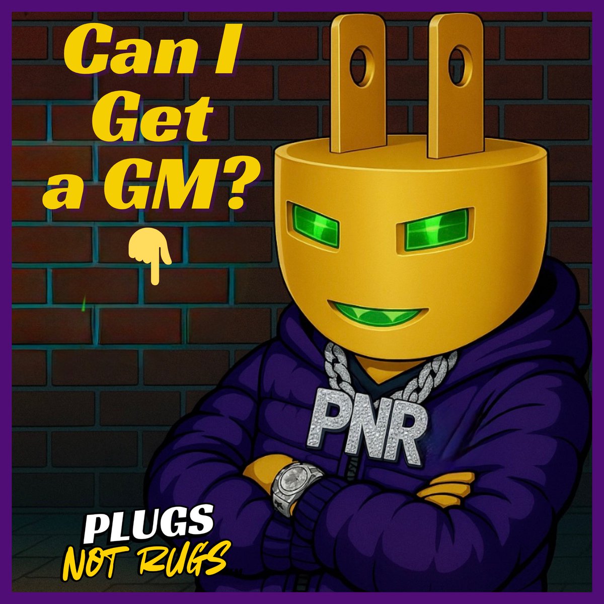 Plugs Not Rugs tweet media