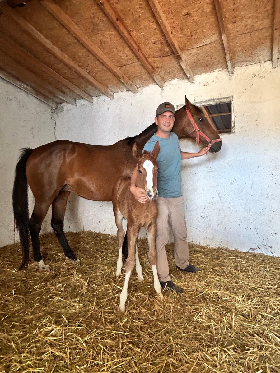 Nihayet yeni tayımızla tanıștık bugün.
Cooger - Galoha / Galetto
Dişi