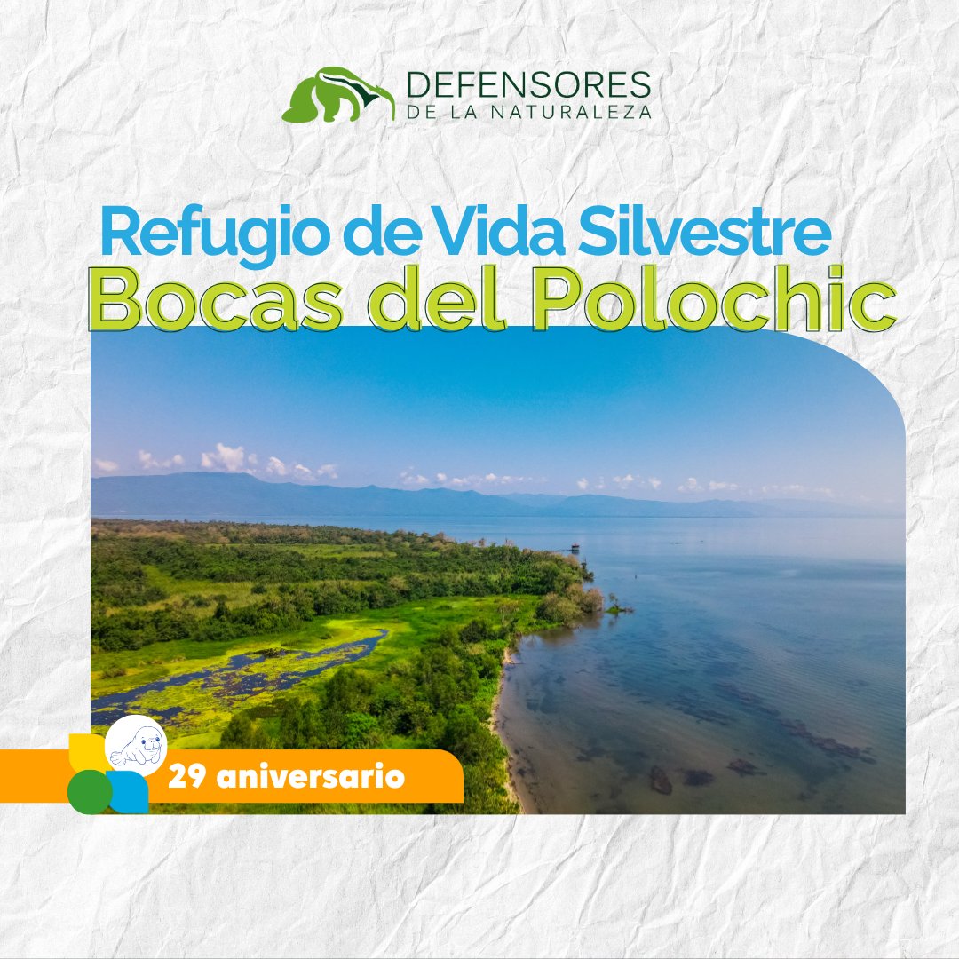 🎉 29° Aniversario RVSBP Bocas del Polochic 🌿🌊#SitioRamsar de importancia mundial. ¡Gracias a las y los guardianes de este tesoro ecológico!  #ConservaciónGT #Humedales