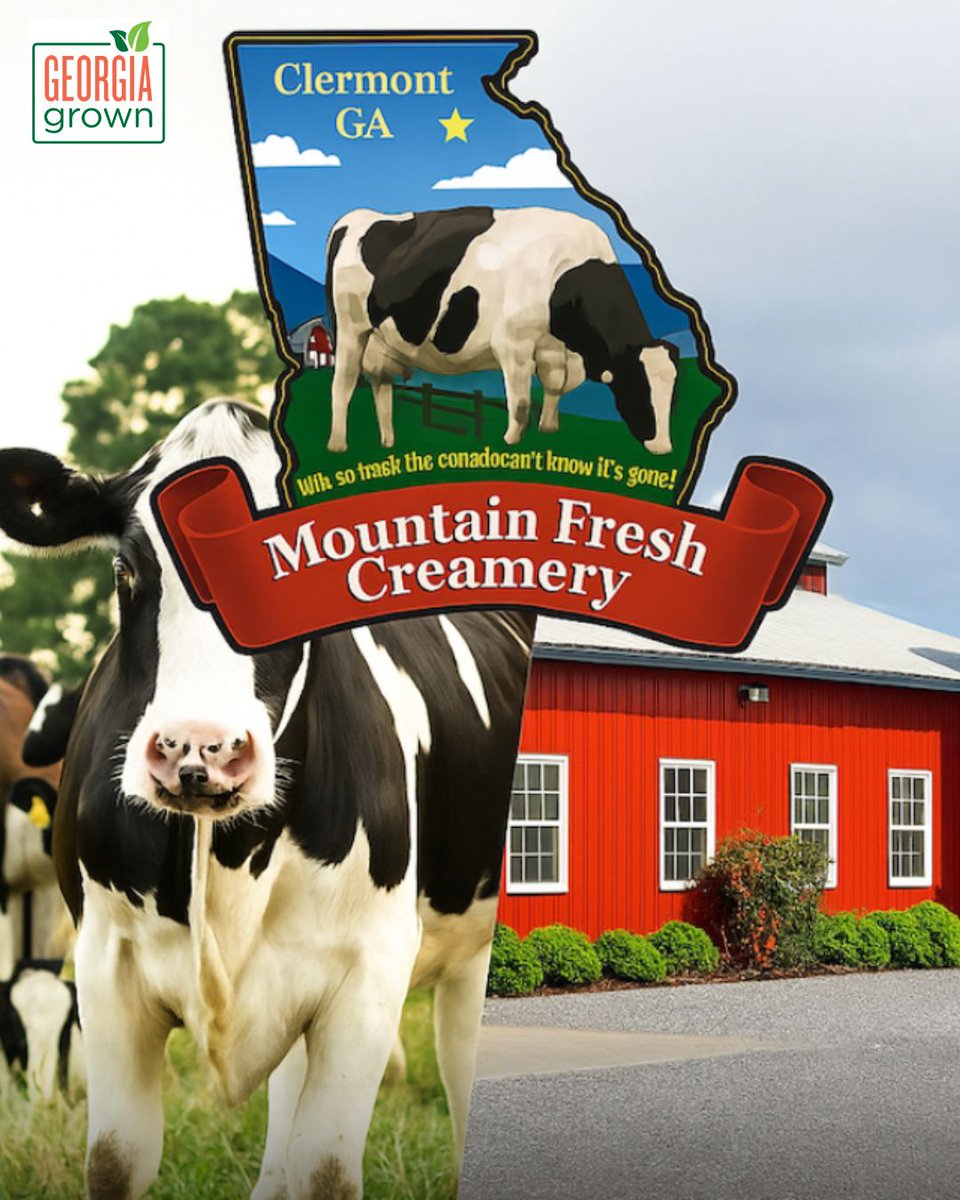 GeorgiaGrown (@georgiagrown) on Twitter photo 🐄 From creamy milk to iconic ice cream, Mountain Fresh Creamery is a shining example of Georgia dairy done right! Meet the Glovers, their happy Holsteins, and the 16-ft cow named Dipsy in this charming feature from <a href="/nowhabersham/">Now Habersham</a> bit.ly/4kRuZLo
#georgiagrown 🐄 From creamy milk to iconic ice cream, Mountain Fresh Creamery is a shining example of Georgia dairy done right! Meet the Glovers, their happy Holsteins, and the 16-ft cow named Dipsy in this charming feature from <a href="/nowhabersham/">Now Habersham</a> bit.ly/4kRuZLo
#georgiagrown