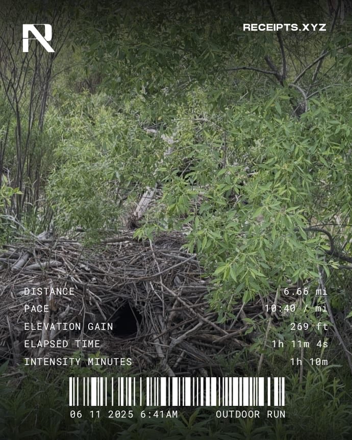 acerascalcomedy's tweet photo. I found a beaver dam on today’s run. https://t.co/tzoIBzS19S