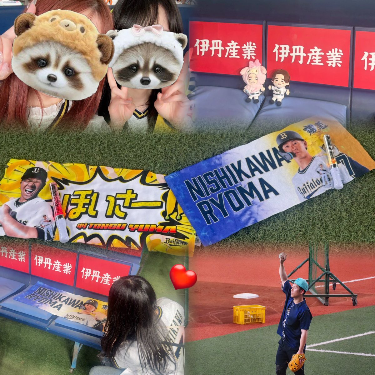 PiQ1Bs3's tweet photo. 交流戦🌟🌟
グラウンドお散歩とベンチ侵入に全てを持っていかれて試合って何⁉️状態☺️
りょまさんが守備から帰ってきた時にたじがぺこってお辞儀するのだけを毎イニング楽しみに見てました(試合見ましょう) https://t.co/lu3mxoGEbr