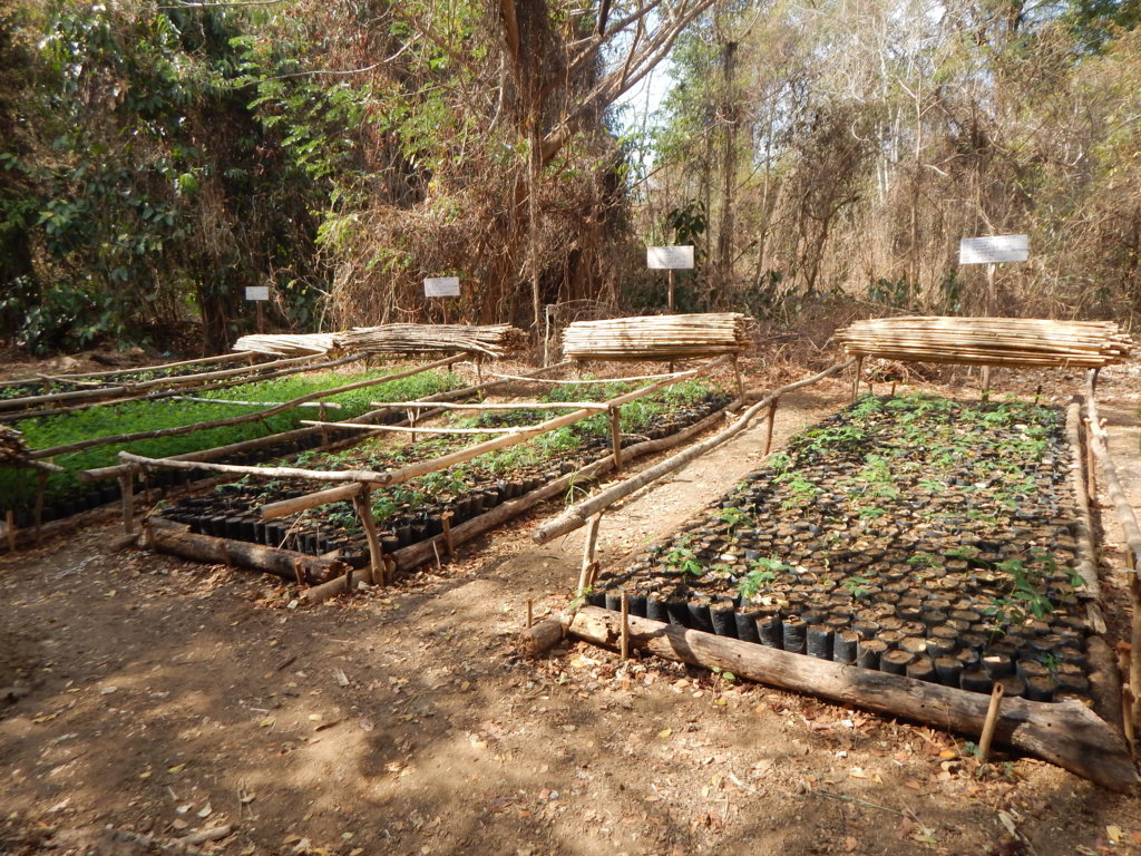 Our ANNUAL REPORT 2024 is here! - mailchi.mp/0c4a16c9679c/i…