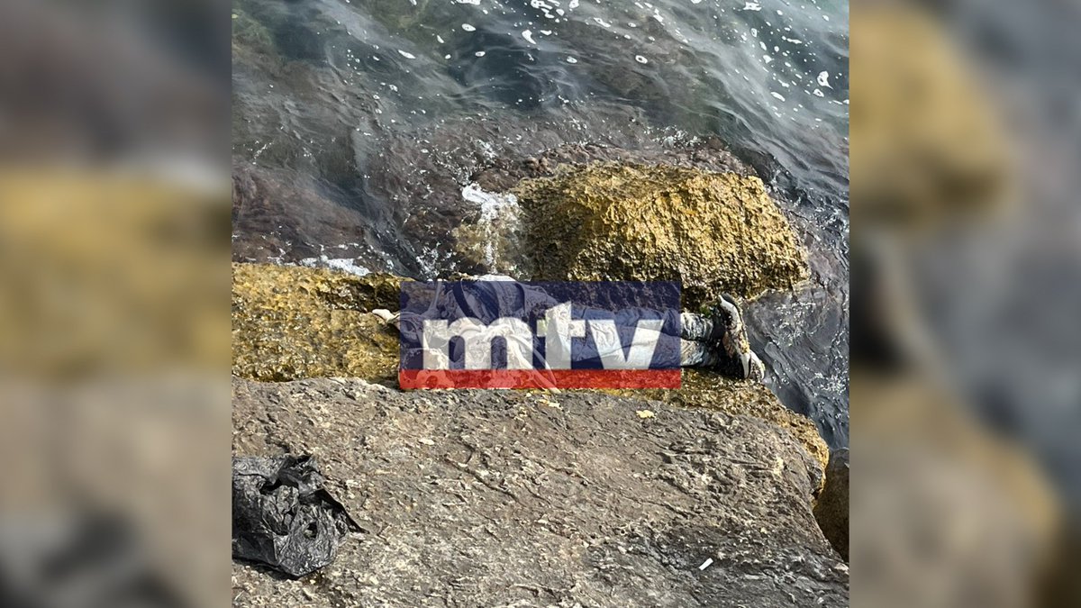 بالفيديو: العثور على هيكل عظمي في البحر والسمك التهم الجسد
mtv.com.lb/news/%D9%85%D8…