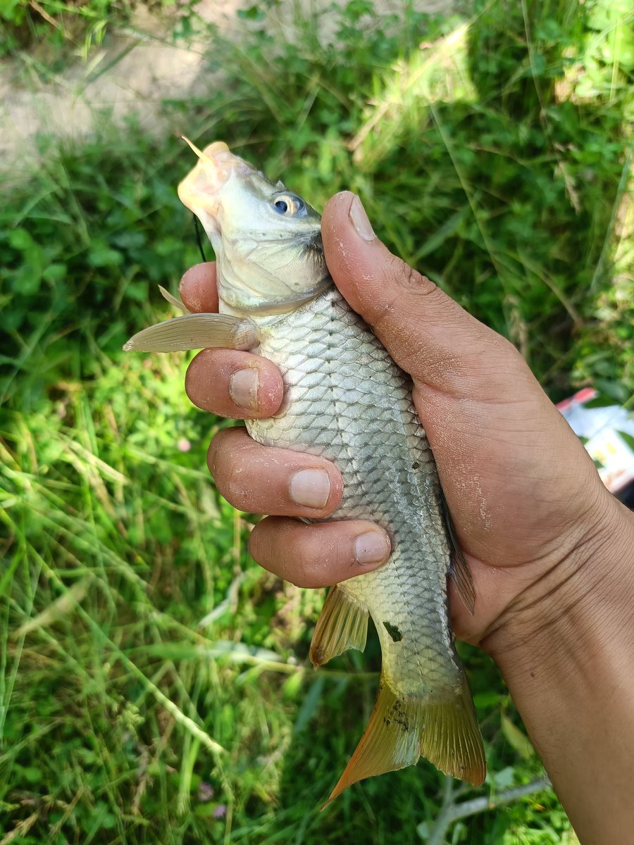 Raheeltalks's tweet photo. The best therapy is fishing 🎣 
#fishing #kashmir #patience https://t.co/oQRJX2Mnx6