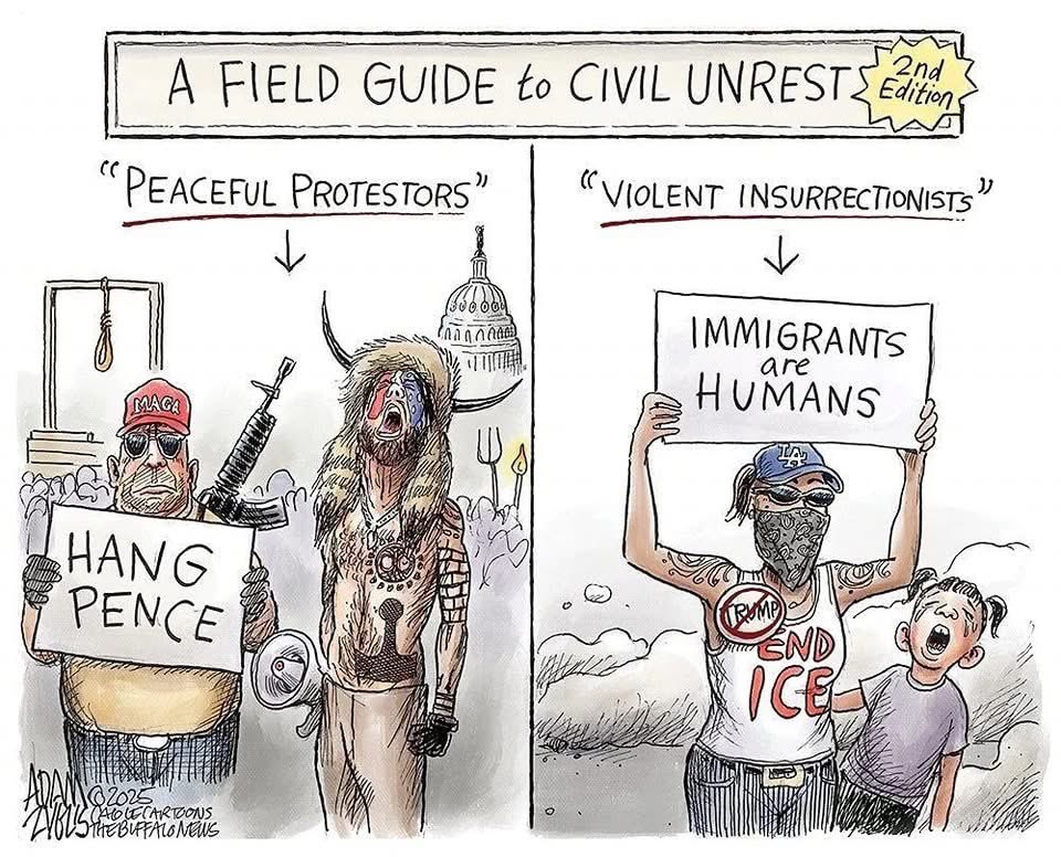 MammaNewf (@mammanewf) on Twitter photo 