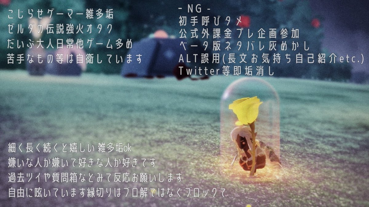 くらげ。 tweet media