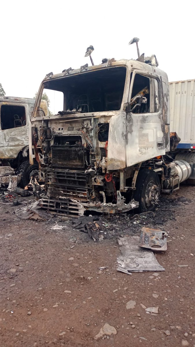 CNDC GESTIONA CON AUTORIDAD AYUDA A CAMIONEROS VICTIMAS DE ATENTADOS
El gremio empezó a gestionar en conjunto con la autoridad de gobierno el apoyo material y humano a los conductores que esta madrugada fueron agredidos por violentistas e incendiados sus camiones.