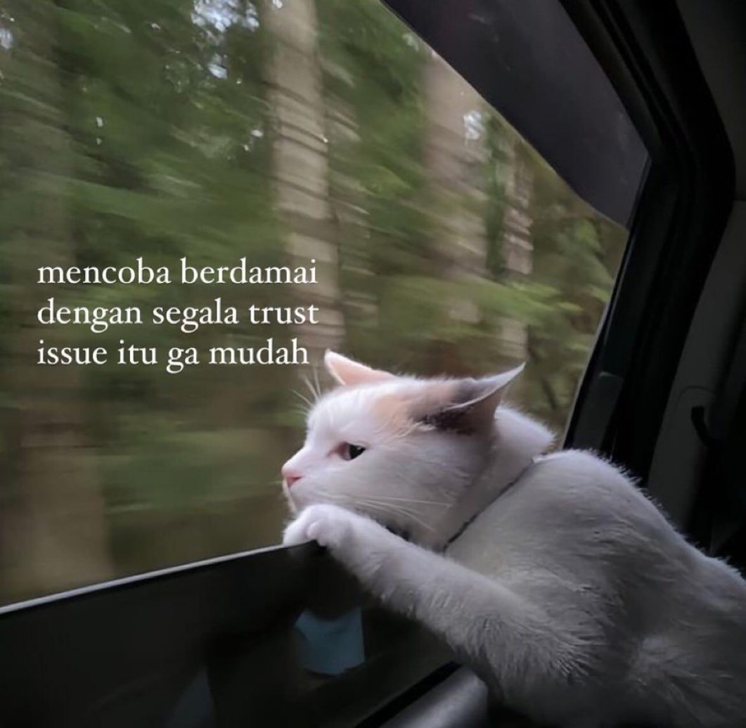 sosmed keras (@sosmedkeras) on Twitter photo 