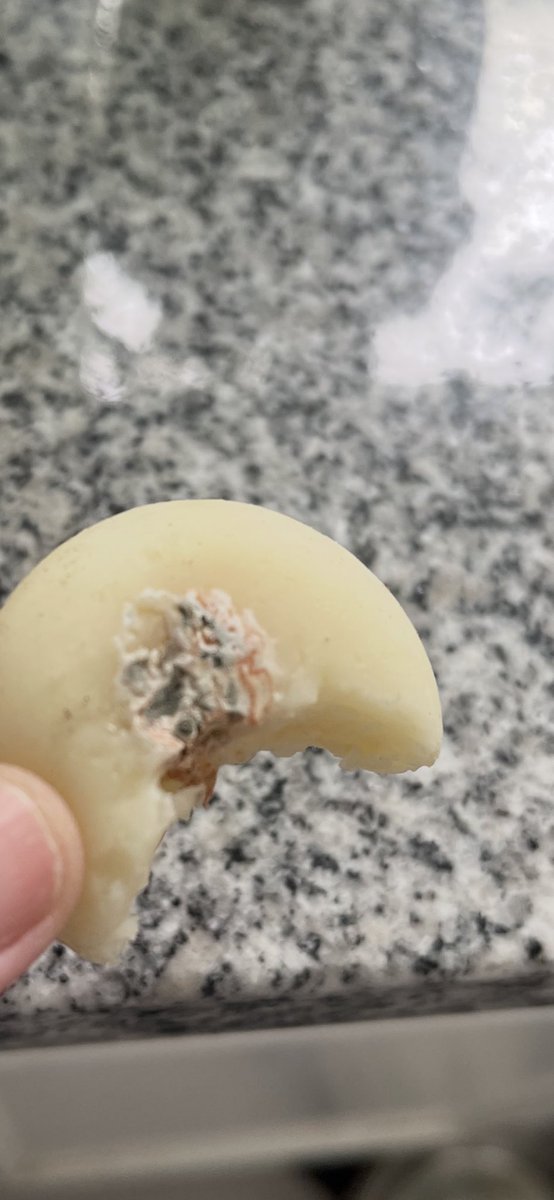 Tom Ö 🇺🇸 𝕏 tweet media