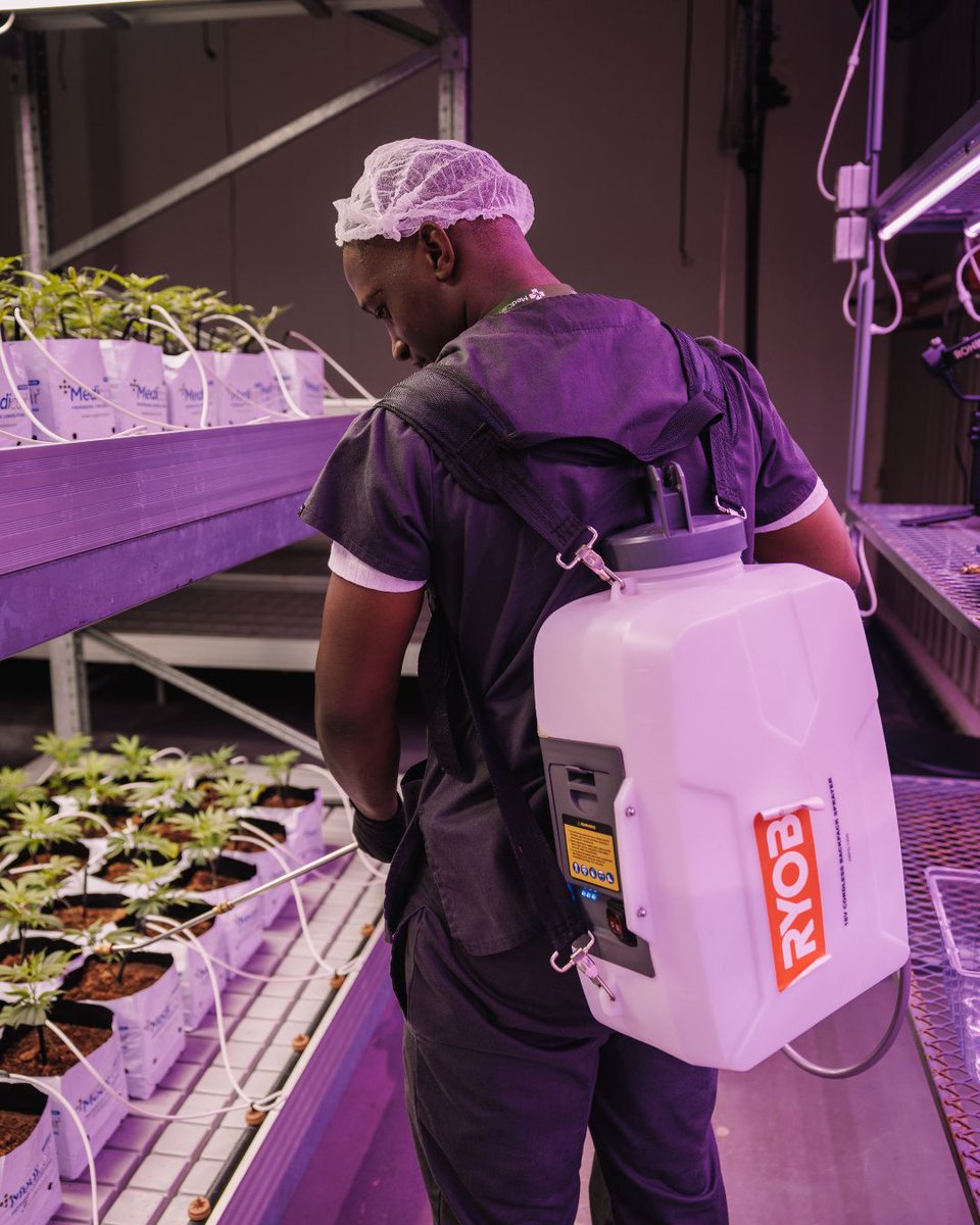 🌿 Meet MedCan: SA’s first licensed exporter of premium, plant-based wellness grown to global standards.

🇿🇦 GACP &amp; GMP certified
✨ Science-led, sustainability-driven
⚗️ Lab-tested, full-spectrum quality
Welcome to precision-grown care. #MedCan #GMPcertified