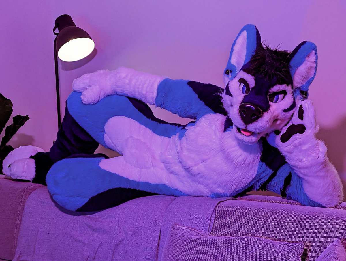 Wolf on the couch! Watcha gonna do?! 😏