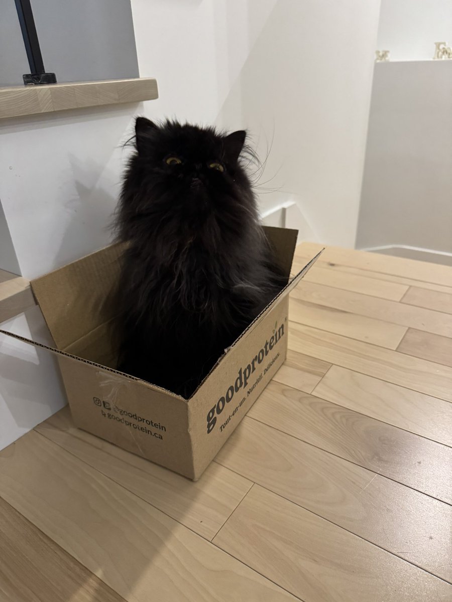 Maman disia qe non cabo en esta cajita… mílame, maman! Chi cabo!