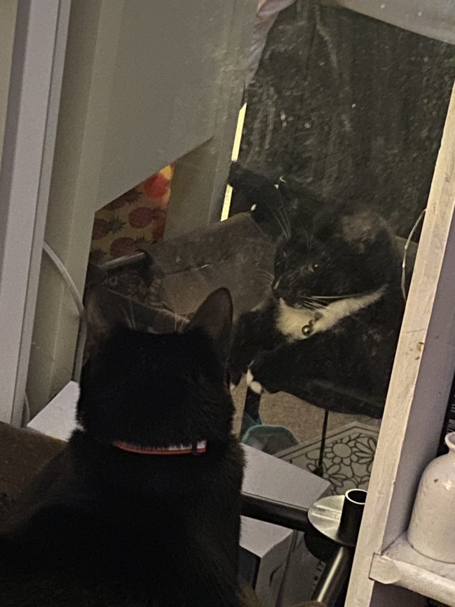 itzmefig's tweet image. 🎶 i’m starting wif Me Fig in da mirrour … 🎶
🎤