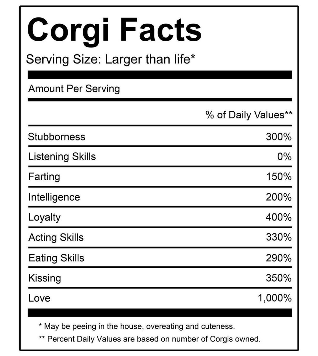 TheLuckyFox_'s tweet image. Above all, $WELSH Corgi is the 1st #Bitcoin Dog and the Official Mascot of @Stacks, the leading #BitcoinLayer2 🤩

@Welsh_Community ✊