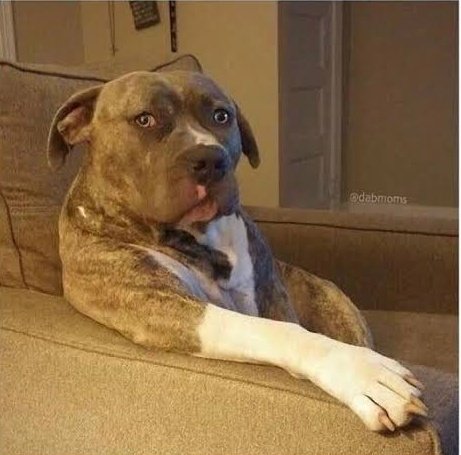 Nobody:

Kenyan Dads:" Na nani kati yenyu ndio anajoin form one"