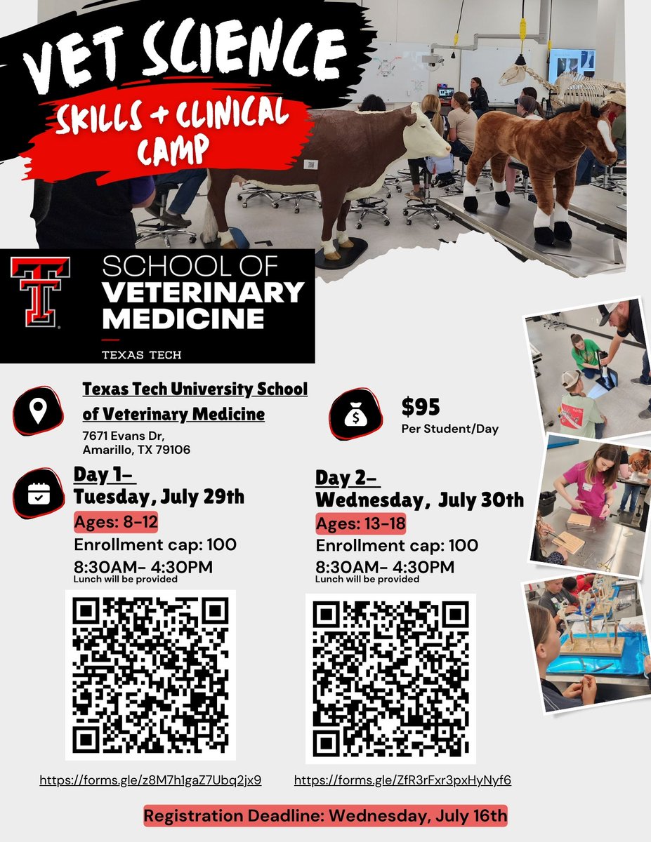 Needing something fun for your kiddos to do during the summer?

Look no further than our RaiderVet Kids camp.

This awesome opportunity gives them a glimpse into   veterinary medicine.

Wreck ‘Em Tech!

#TTUVetMed