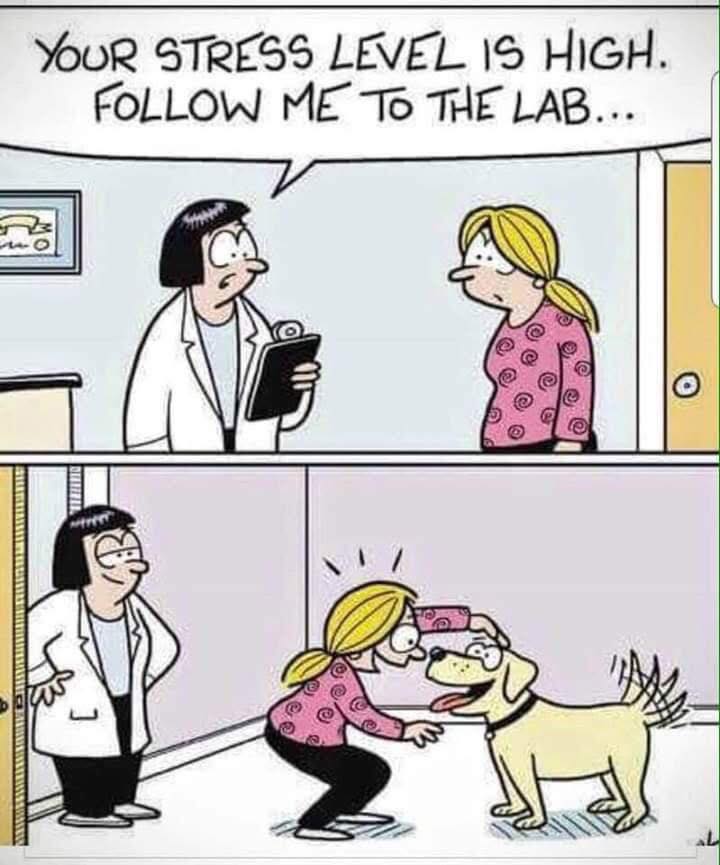 Your stress level is high .............