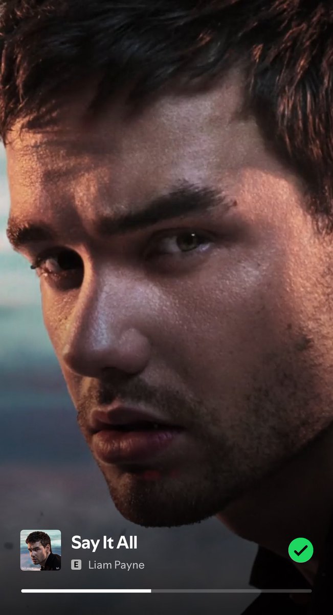 Ls28_Zp25's tweet image. ❤️ #LPDay #LiamPayneForever #StreamTellYourFriends