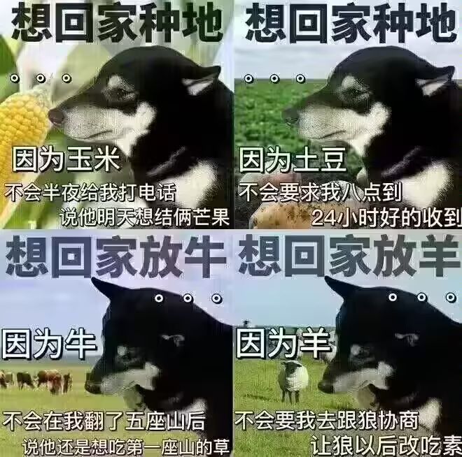 年轻真好啊…体力好精力充沛身体健康熬夜也没事。我在那个年龄的时候不知道珍惜…现在🤦‍♂️看着年轻的肉体和灵魂好羡慕啊…无数的可能…