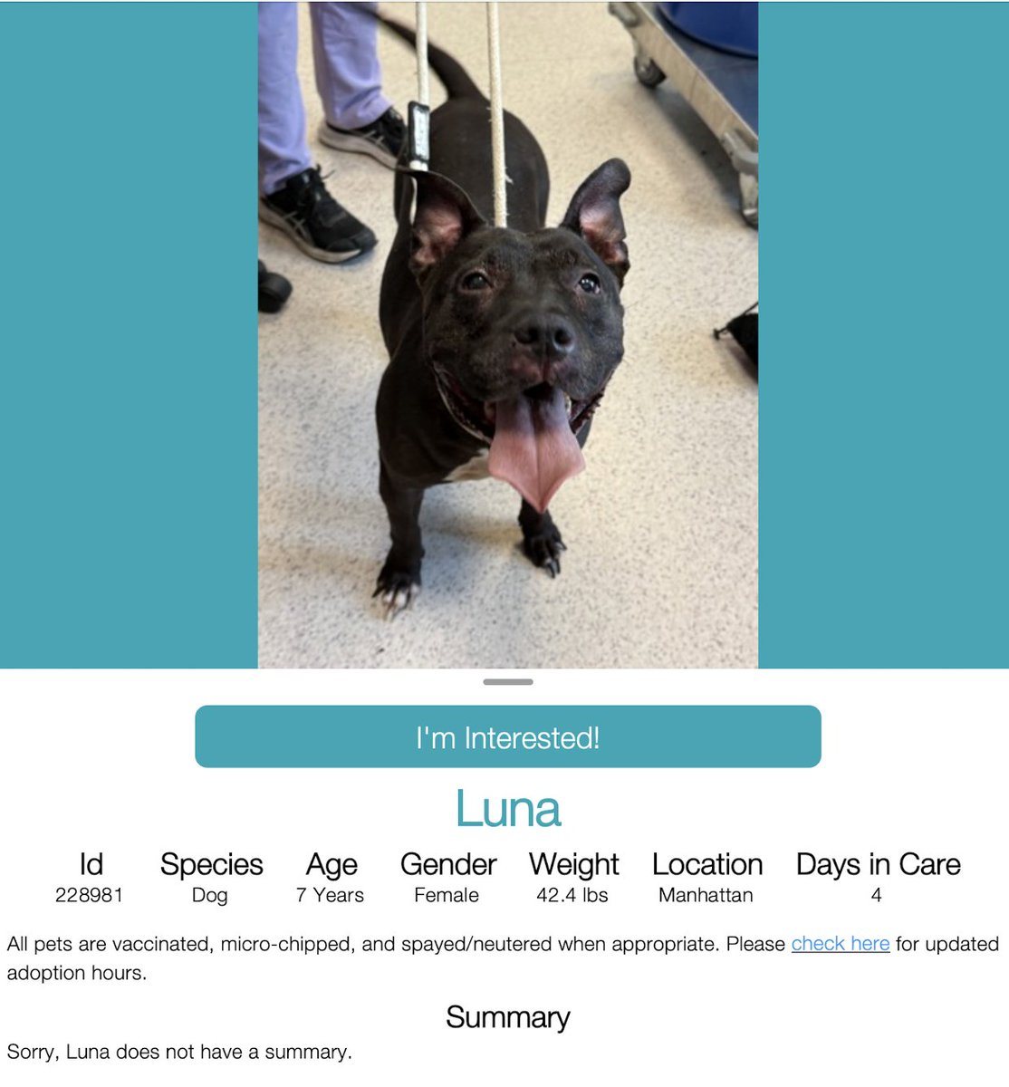 Tootsismyname🏴☠️ (@beedodoobiedo) on Twitter photo Little Luna ~ not given any information on her by <a href="/NYCACC/">Animal Care Centers of NYC</a>. She is a perfect age 7 and looks to upgrade her owner status from neglected to a loved and cherished best friend. She would love a cuddle❣️
nycacc.app/browse/228981 Little Luna ~ not given any information on her by <a href="/NYCACC/">Animal Care Centers of NYC</a>. She is a perfect age 7 and looks to upgrade her owner status from neglected to a loved and cherished best friend. She would love a cuddle❣️
nycacc.app/browse/228981