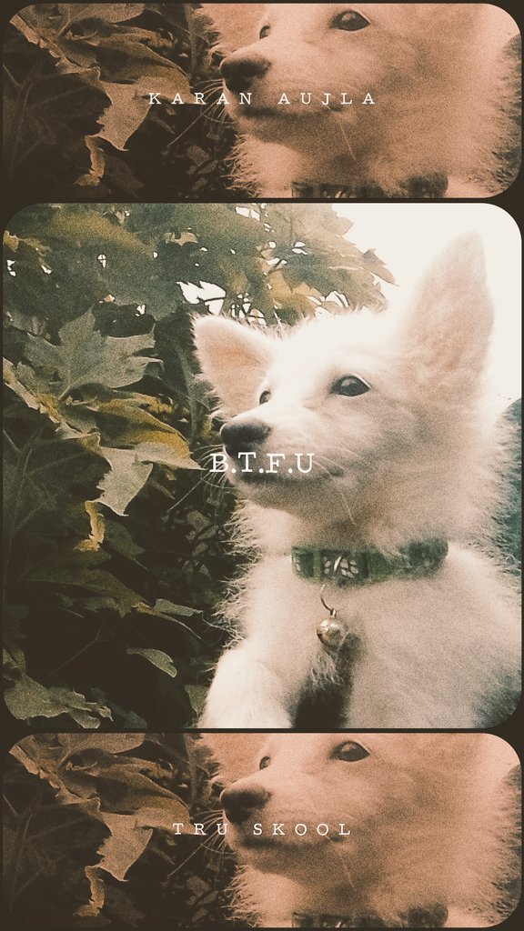 SNOW ❄️ KUK'S BABY tweet media