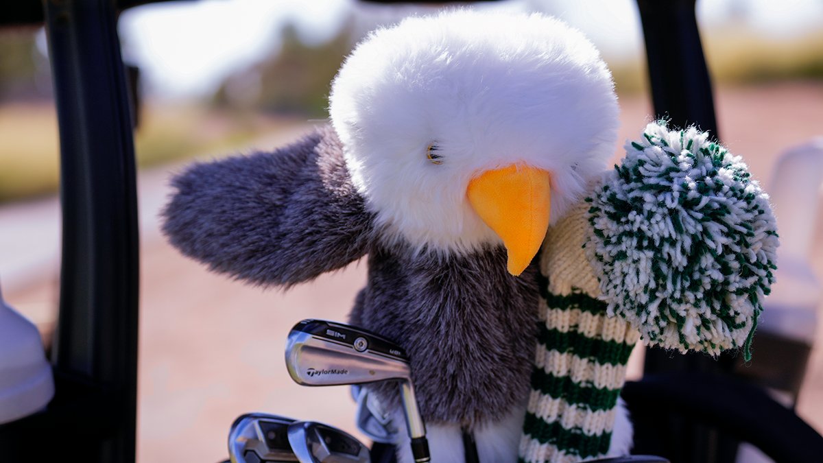 𝗦𝗨𝗠𝗠𝗘𝗥 𝗦𝗪𝗜𝗡𝗚𝗦

Check out our periodic updates on where the Eagles are playing this summer at the link below:

🔗 tinyurl.com/2adqh4pg

#EMUEagles