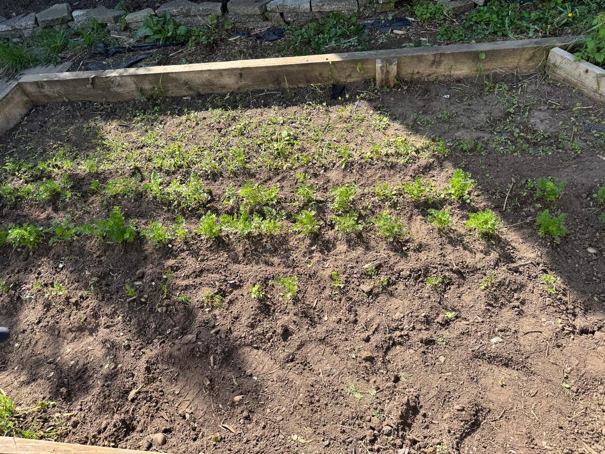 Welcome Change CIC tweet media