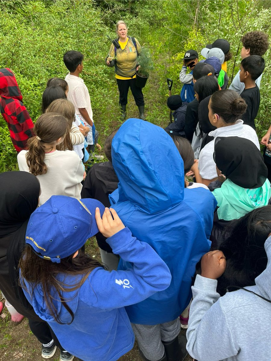 DDSB_IndigenousEd (@ddsb_indigenous) on Twitter photo Students at Gandatsetiagon PS took care of a tree for a few weeks at their school and then got to plant it at Duffins Creek Outdoor Education Centre with the Indigenous Education team! <a href="/GandyHappenings/">Gandatsetiagon PS</a> Students at Gandatsetiagon PS took care of a tree for a few weeks at their school and then got to plant it at Duffins Creek Outdoor Education Centre with the Indigenous Education team! <a href="/GandyHappenings/">Gandatsetiagon PS</a>