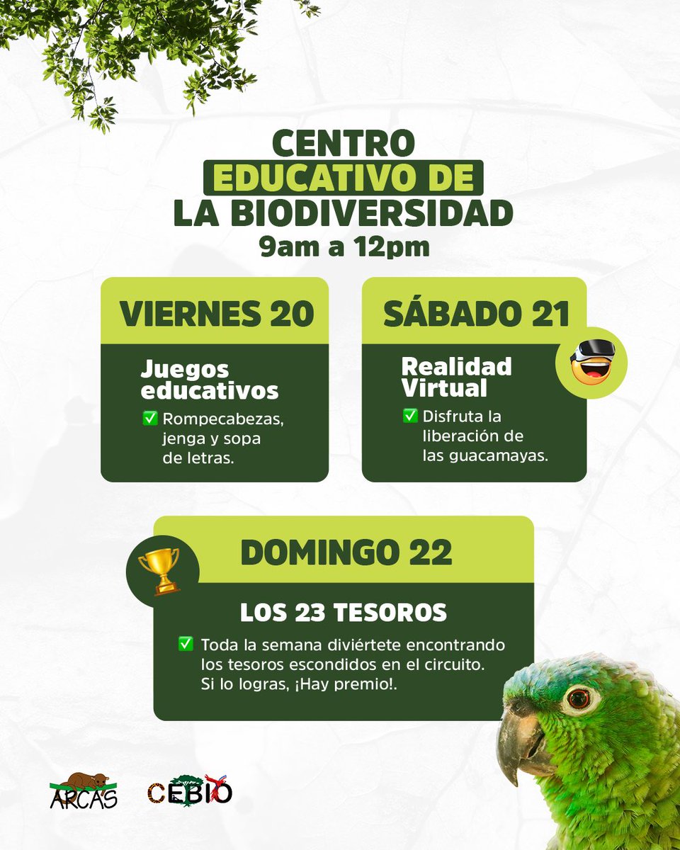 👣 Visita el CeBio en ARCAS Petén
📚 Aprende sobre la vida silvestre
🌿 ¡Conéctate con la naturaleza a través del asombro!

#EducaciónAmbiental #CeBio #ARCAS