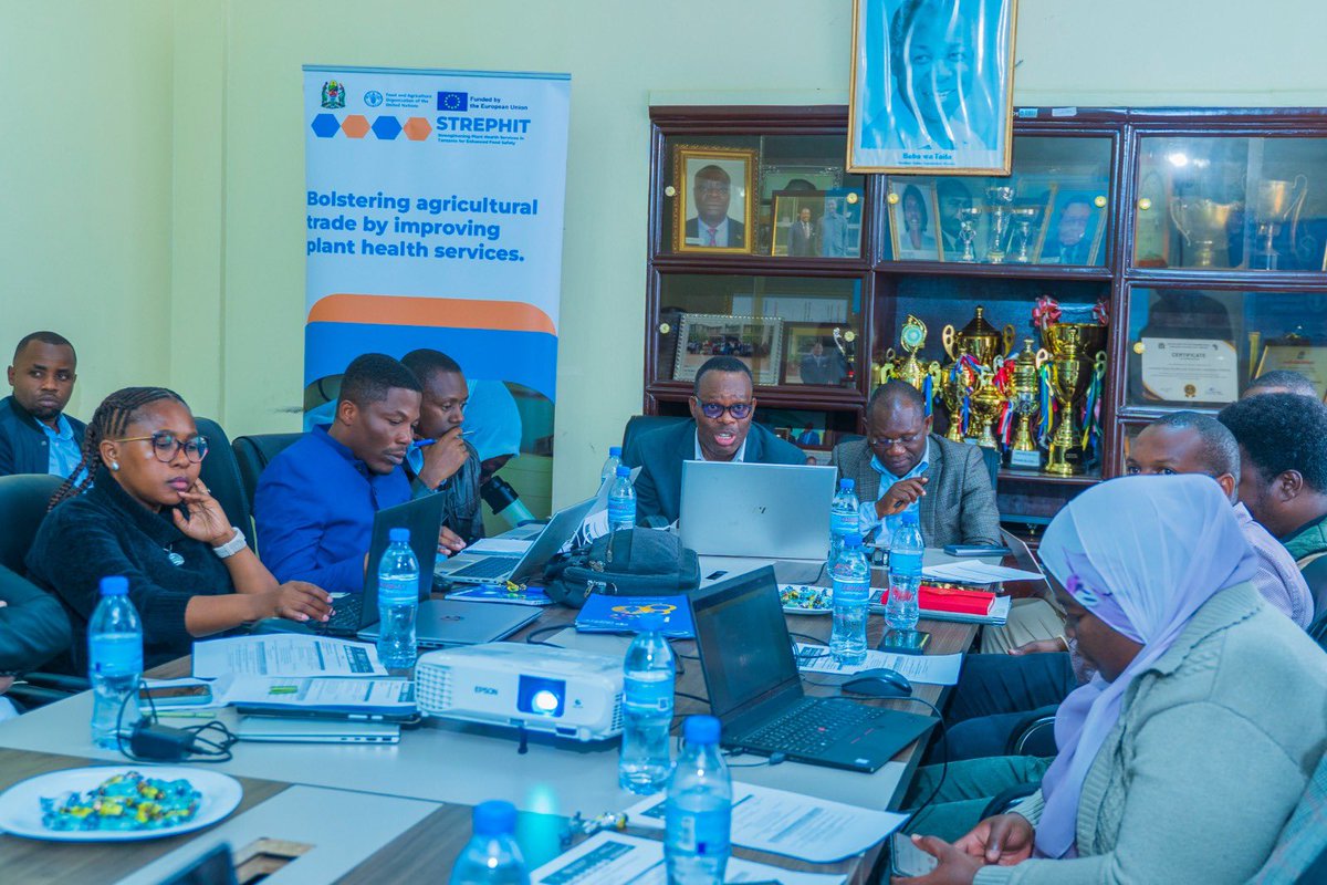 FAO in Tanzania (@faotanzania) on Twitter photo Today, <a href="/FAO/">Food and Agriculture Organization</a> , <a href="/TPHPA_Official/">TPHPA</a> & the Zanzibar Ministry of Agriculture met with contractors for the 1st batch of STREPHIT lab rehabilitations
The goal is to align roles & timelines for smooth execution. A major step toward stronger plant health & food safety systems! πΉπΏπ€πͺπΊ Today, <a href="/FAO/">Food and Agriculture Organization</a> , <a href="/TPHPA_Official/">TPHPA</a> & the Zanzibar Ministry of Agriculture met with contractors for the 1st batch of STREPHIT lab rehabilitations
The goal is to align roles & timelines for smooth execution. A major step toward stronger plant health & food safety systems! πΉπΏπ€πͺπΊ